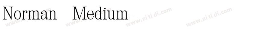 Norman   Medium字体转换